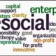 Managing the Two Worlds of Social Enterprise – Collaborate or Collide