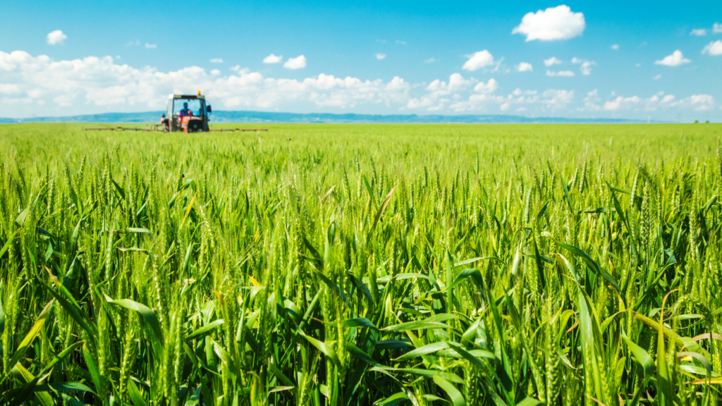 Agriculture is the Most Important Industry Within the Realm of Humankind