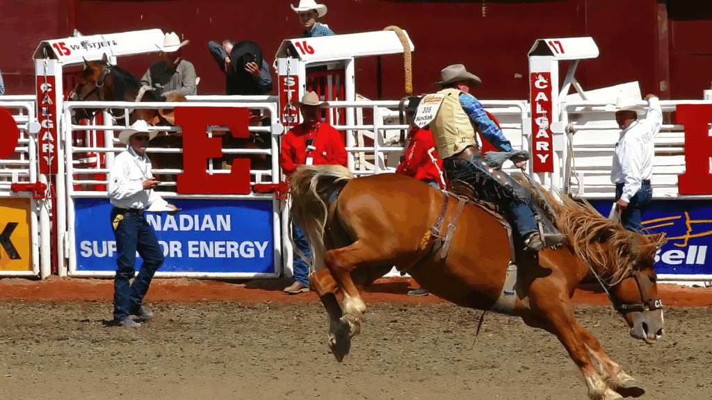 The Most Wonderful Time of Year: Values Reflected in Cowboy Culture