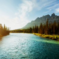 osborne-interim-management-case-study-interim-management-recreation
